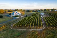 Boxwood Estate Winery image 3